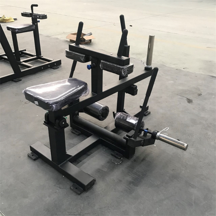 Seated Calf Raise - Muscle Training Sports Gym Equipment Dual