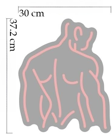 Cool Neon Wall Sign Dimmable M - Home Gym Aesthetic 评论和价格