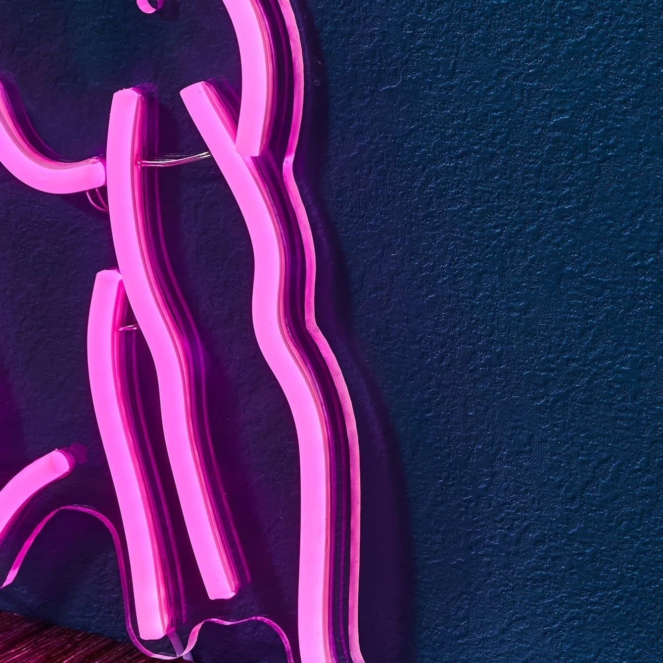 Cool Neon Wall Sign Dimmable M - Home Gym Aesthetic 评论和价格