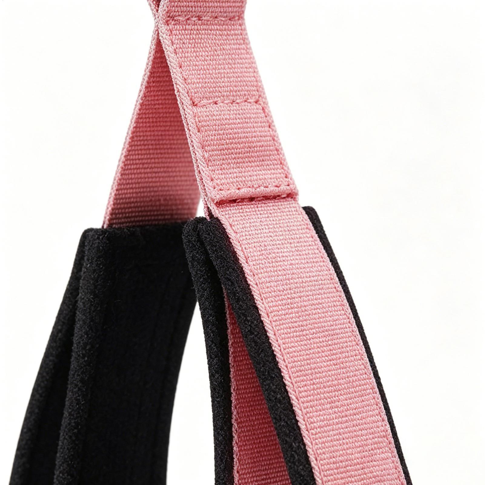 Pilates Straps D-Ring 2 Pieces - Home Gym Routine 评论和价格
