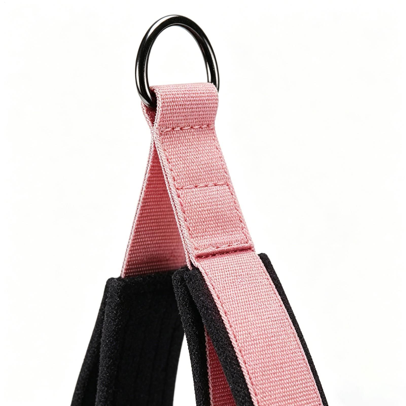 Pilates Straps D-Ring 2 Pieces - Home Gym Routine 评论和价格