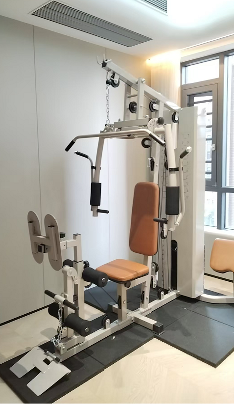 All-In-One Multi-Function Home - Home Gym All In One 评论和价格