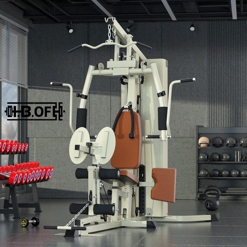 Single Person Station Comprehe - Home Gym All In One 评论和价格