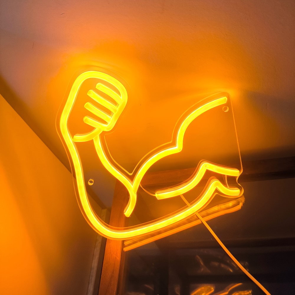 Fitness Motivation Light - Mus - Home Gym Aesthetic 评论和价格