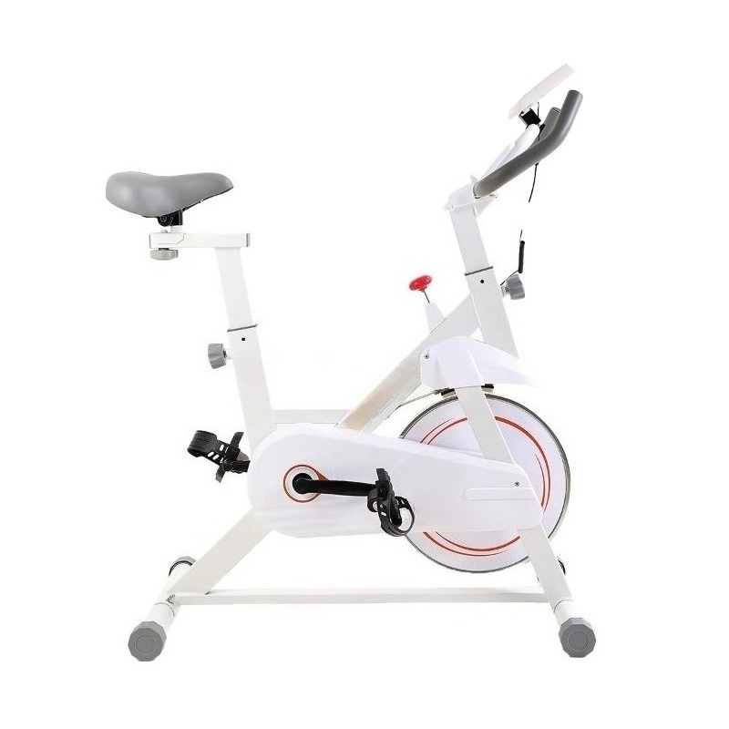 New Professional Spinning Bike - Home Gym Layout 评论和价格