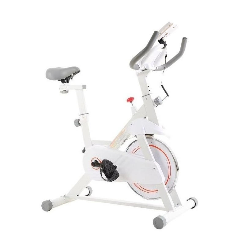 New Professional Spinning Bike - Home Gym Layout 评论和价格