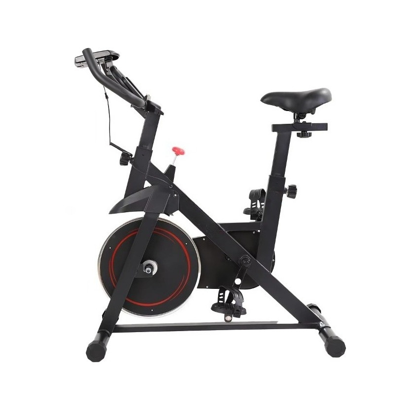 New Professional Spinning Bike - Home Gym Layout 评论和价格