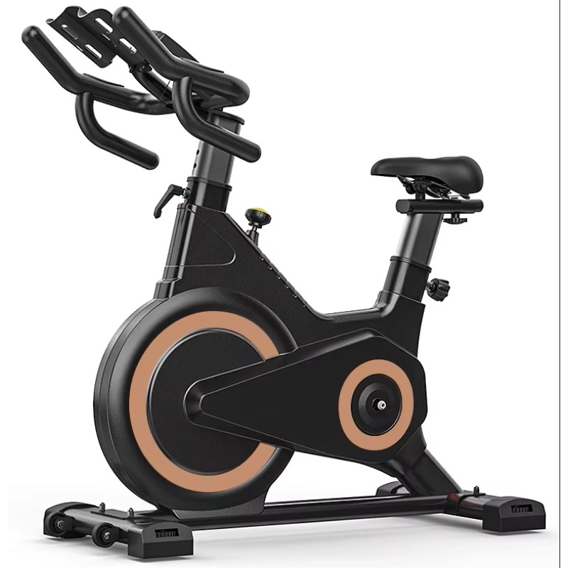 Indoor Gym Bike Spinning Home  - Home Gym All In One 评论和价格